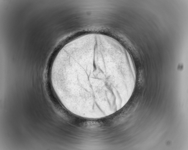 X0000101960636200808151316