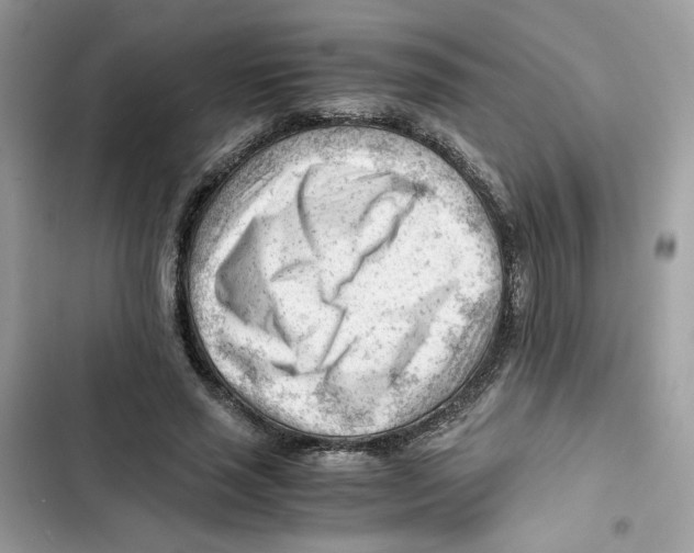 X0000101960637200808151316