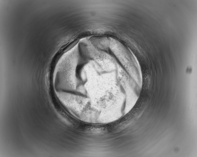 X0000101960638200808151316