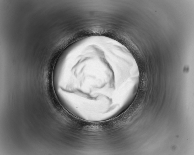 X0000101960639200808151316