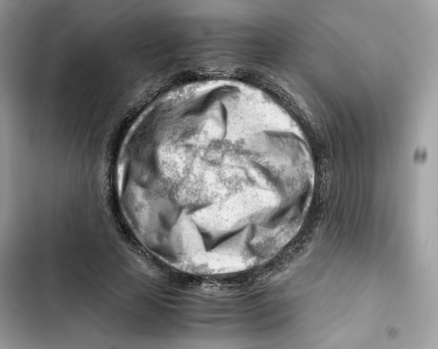 X0000101960641200808151316