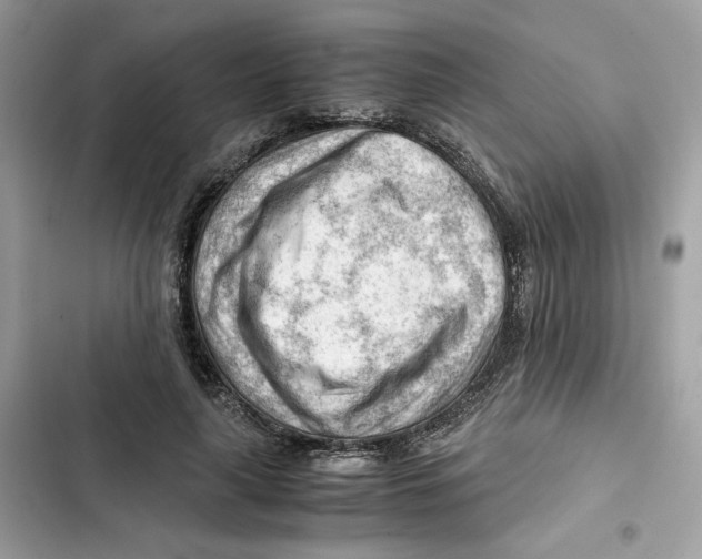 X0000101960643200808151316
