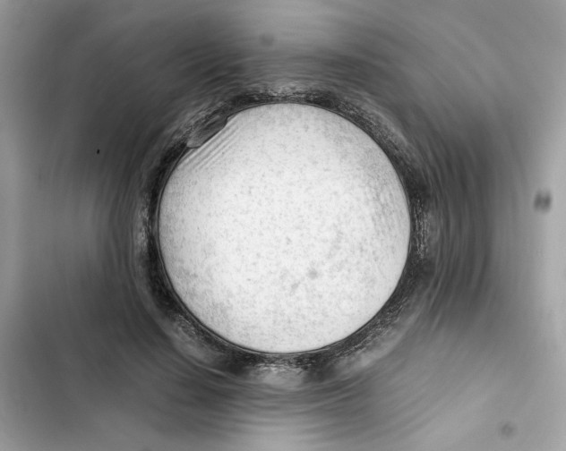 X0000101960644200808151316