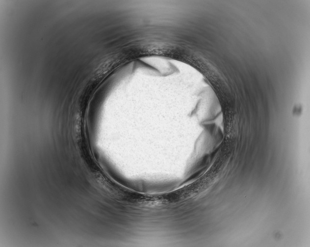 X0000101960646200808151316
