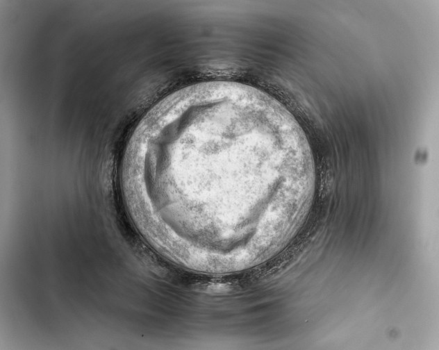 X0000101960647200808151316