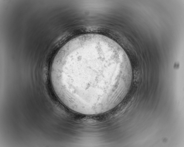 X0000101960648200808151316