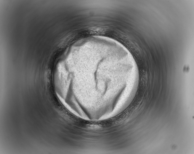 X0000101960649200808151316