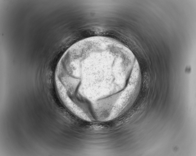 X0000101960650200808151316