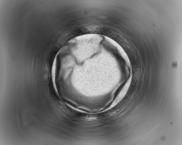 X0000101960651200808151316