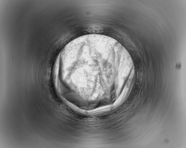 X0000101960652200808151316