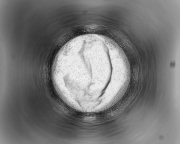 X0000101960653200808151316