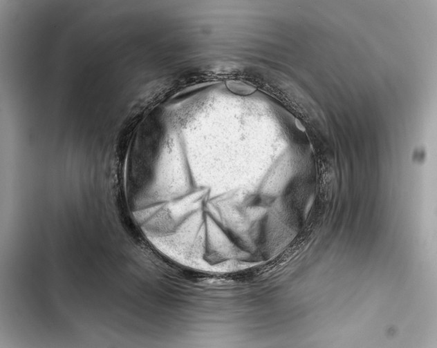 X0000101960654200808151316