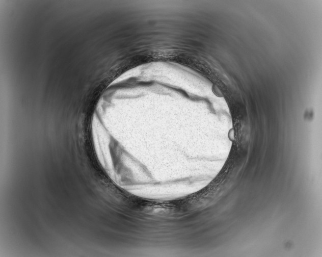 X0000101960655200808151316