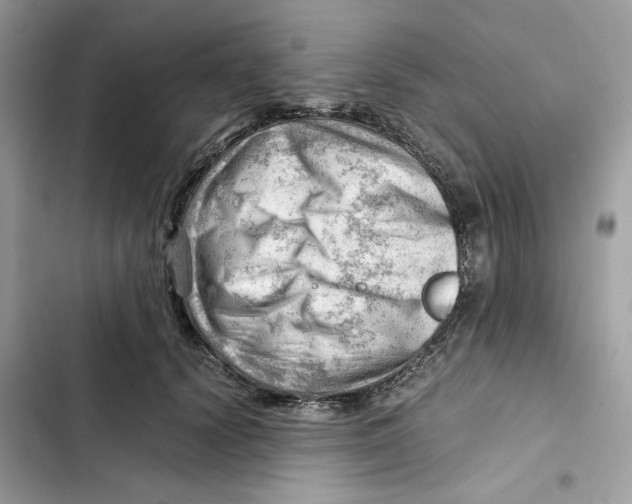 X0000101960656200808151316