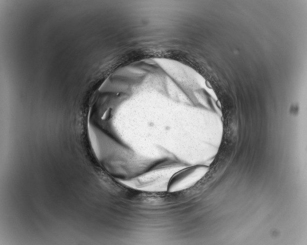 X0000101960658200808151316