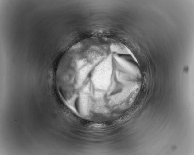 X0000101960659200808151316