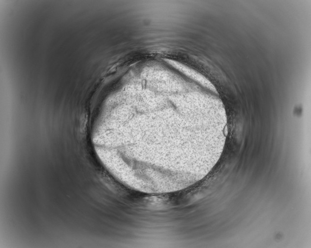 X0000101960660200808151316