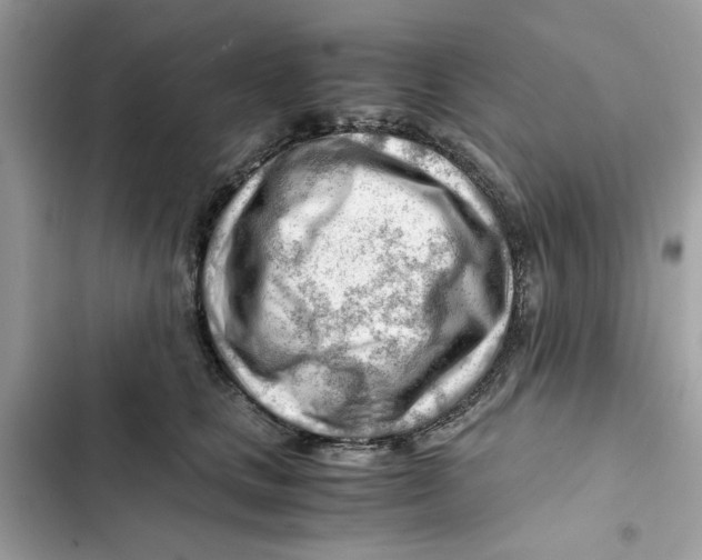 X0000101960661200808151316