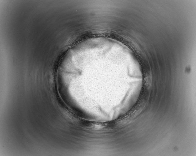 X0000101960662200808151316