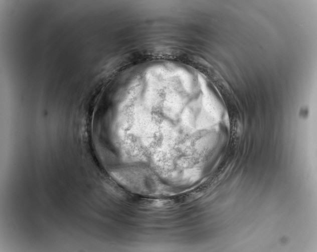 X0000101960663200808151316