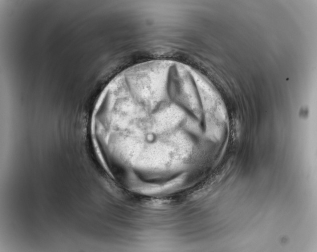X0000101960664200808151316