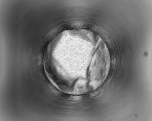 X0000101960665200808151316