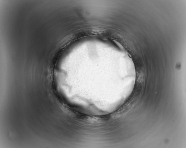 X0000101960666200808151316