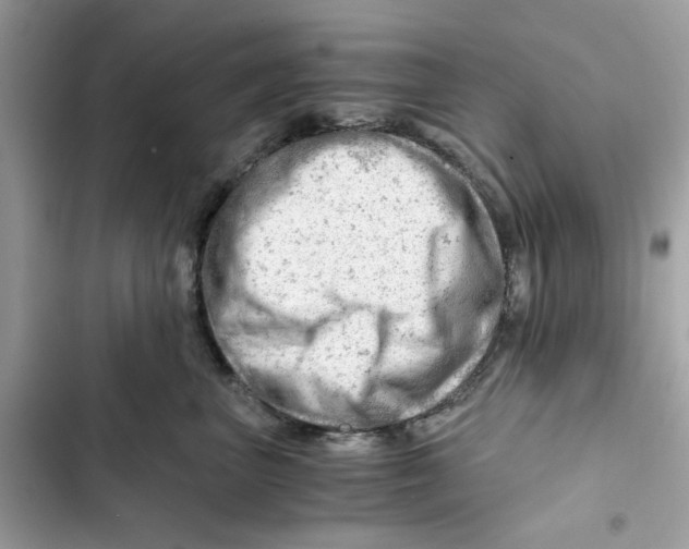 X0000101960667200808151316