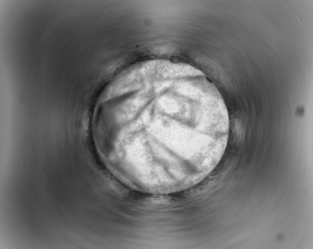 X0000101960668200808151316