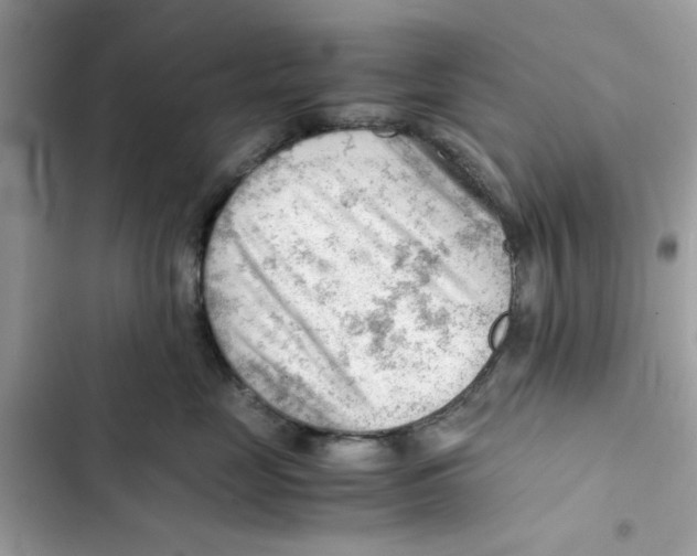 X0000101960669200808151316