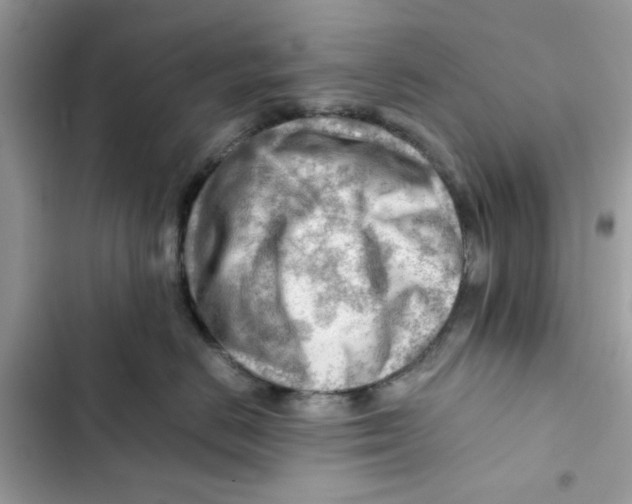 X0000101960670200808151316