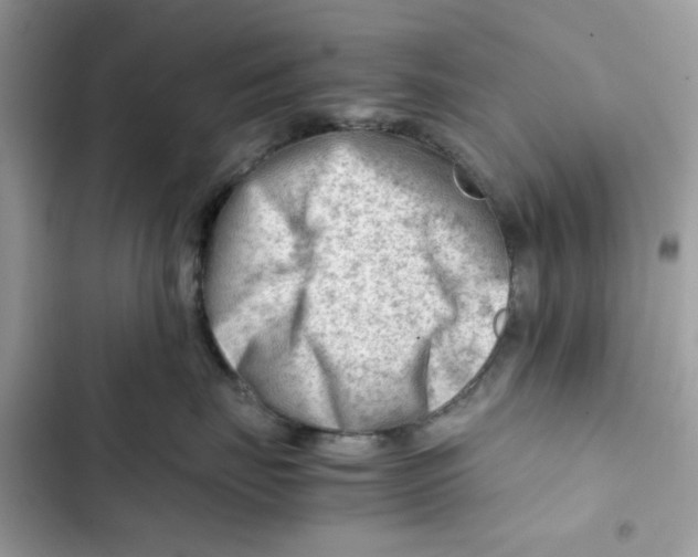 X0000101960671200808151316