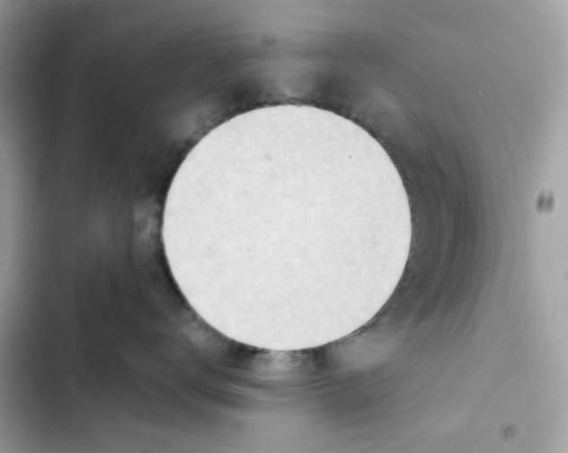 X0000101960672200808151316
