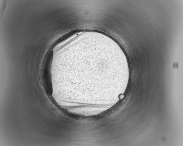 X0000101960673200808151316