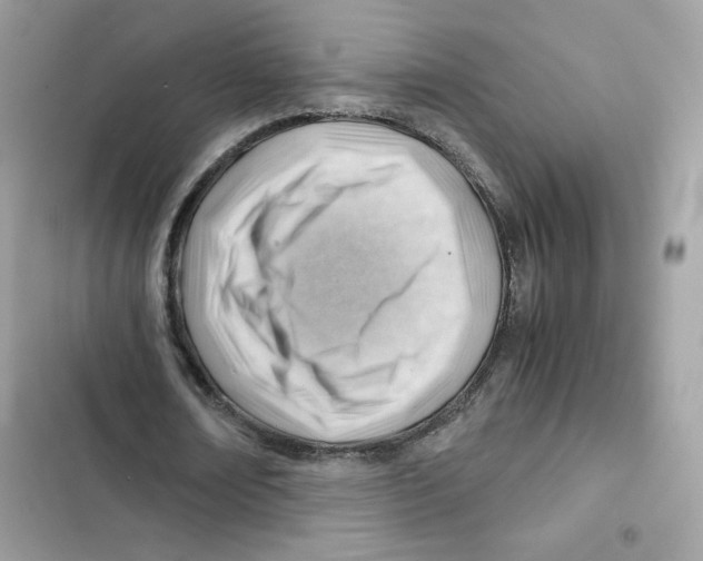 X0000101960674200808151316