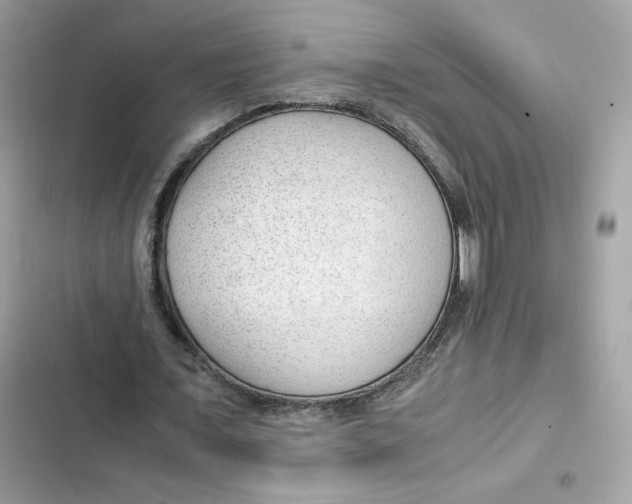 X0000101960675200808151316