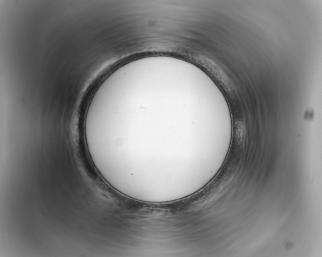 X0000101960676200808151316