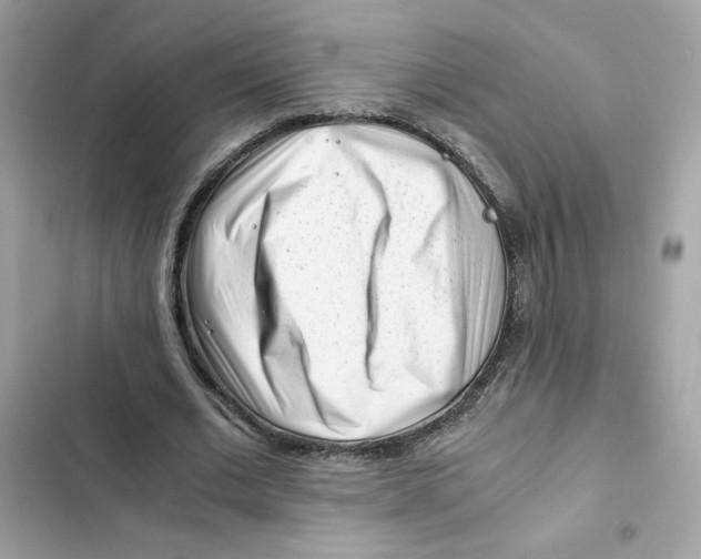 X0000101960677200808151316