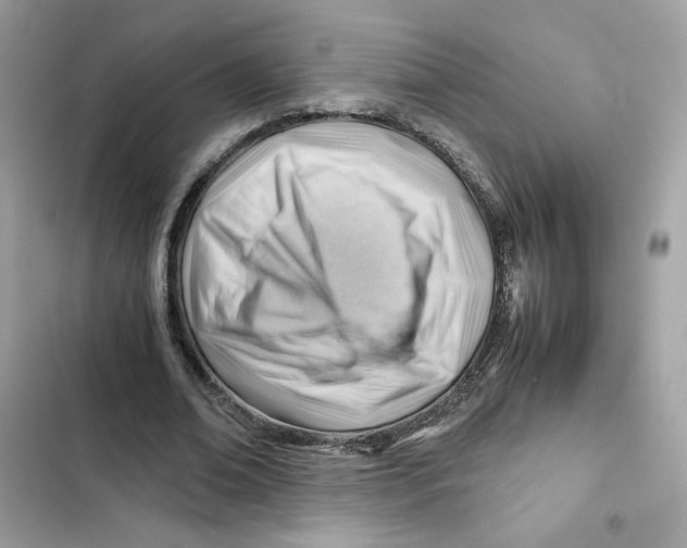 X0000101960678200808151316