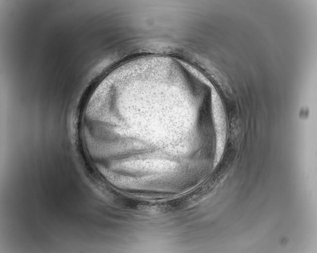 X0000101960679200808151316