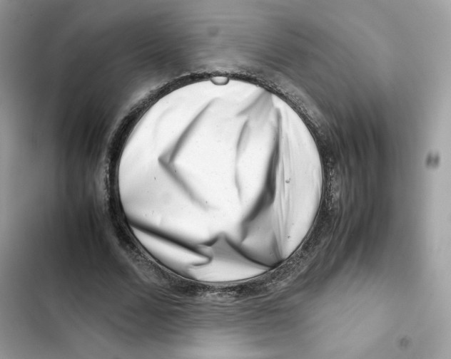 X0000101960680200808151316