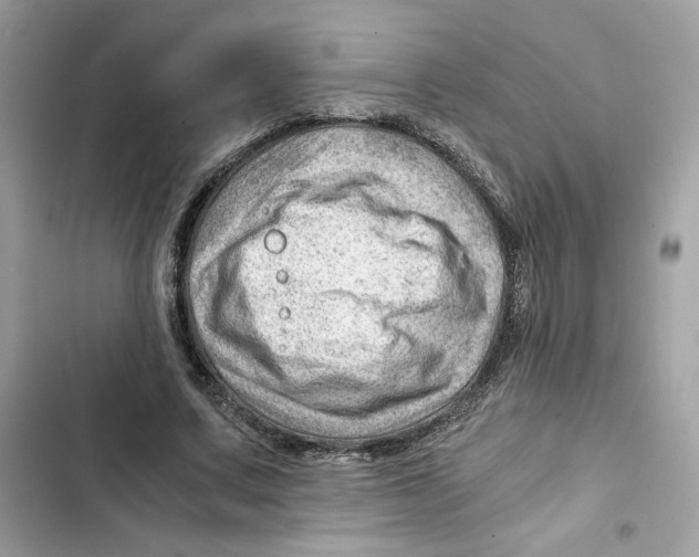 X0000101960683200808151315