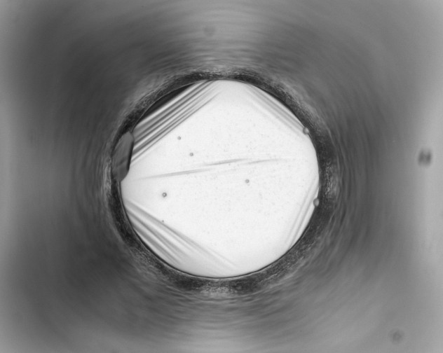 X0000101960685200808151315