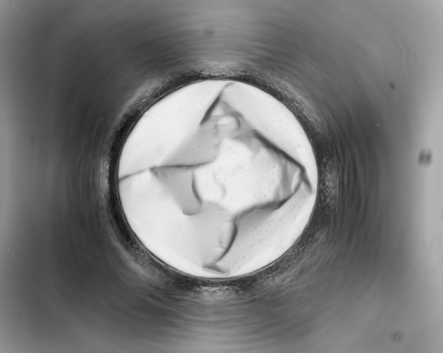 X0000101960686200808151315