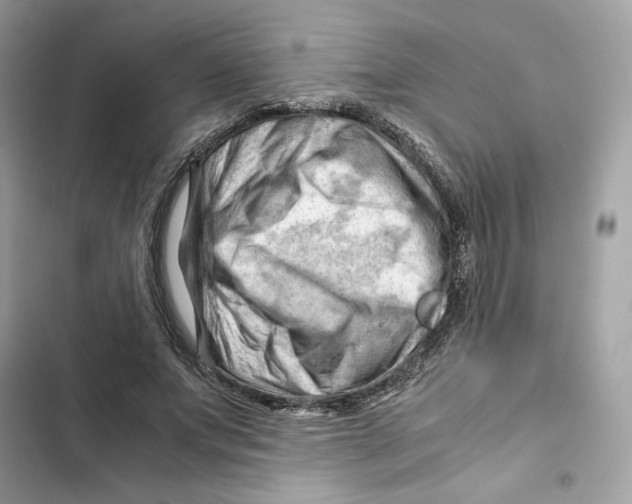 X0000101960687200808151315