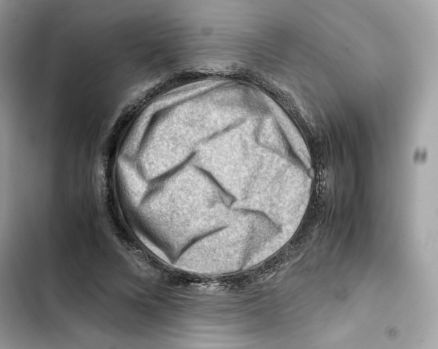 X0000101960688200808151315