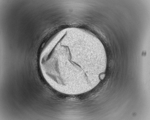X0000101960689200808151315