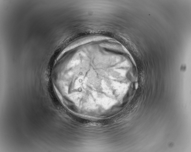 X0000101960691200808151315