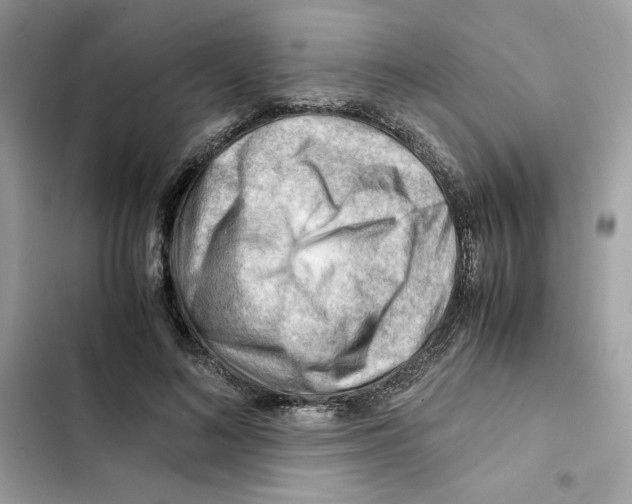 X0000101960692200808151315