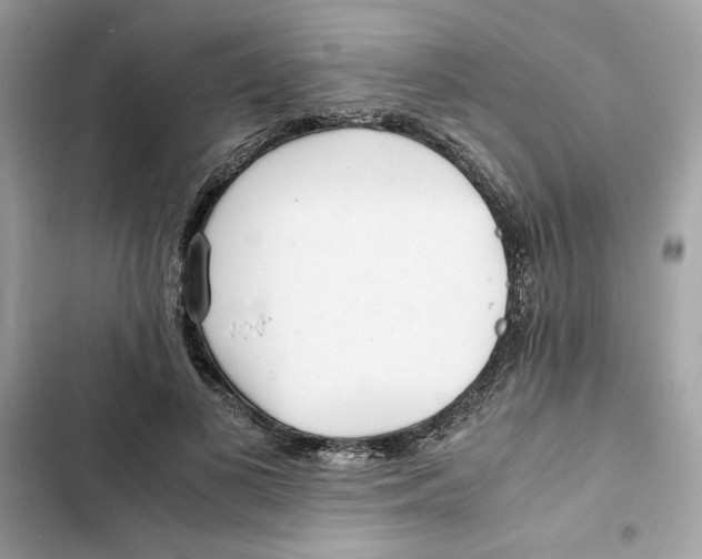 X0000101960693200808151315